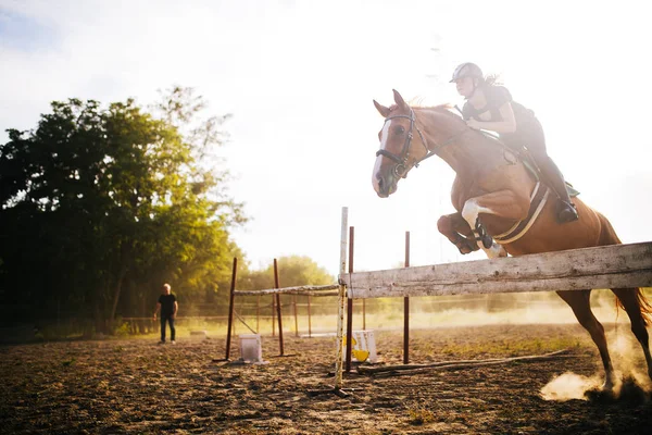 Young Female Jockey Her Horse Leaping Hurdle — Stock Photo, Image