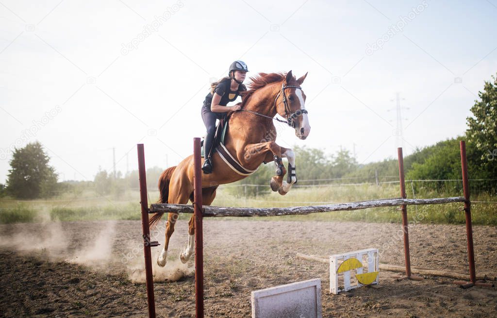 Young female jockey on her horse leaping over hurdle