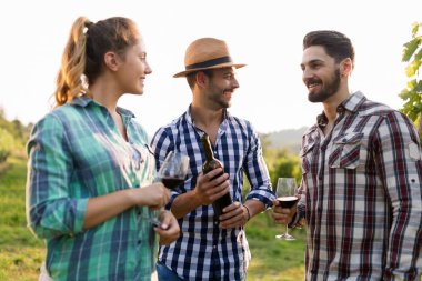 Şarap üreticileri üzüm bağlarında üzüm topluyor.