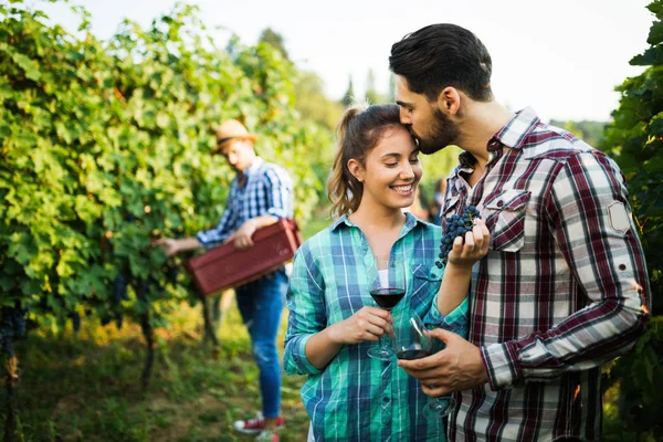 People sampling and tasting wines — Stock Photo, Image