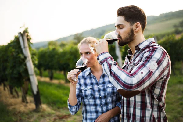 Happy Young People Tasting Wine Vineyard — Stock Photo, Image