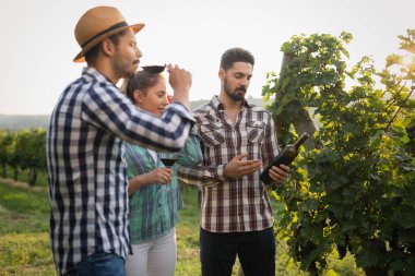 Winemaker mahzeninde çalışma ve şarapları tatma aşık Çift