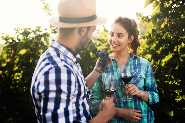 Winemaker Mahzeninde Çalışma Şarapları Tatma Aşık Çift — Stok fotoğraf