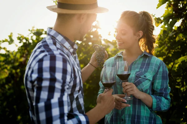 Coppia Innamorata Che Lavora Nel Vigneto Vinicolo Degusta Vini — Foto Stock