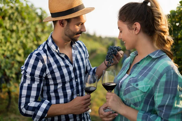 Couple Love Working Winemaker Vineyard Tasting Wines — Stock Photo, Image