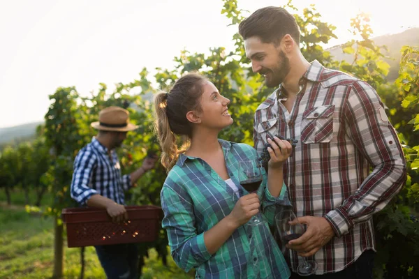 Pareja Enamorada Trabajando Viñedo Enólogo Degustando Vinos — Foto de Stock