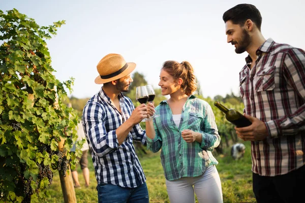 Verliebtes Paar Arbeitet Weinberg Des Winzers Und Verkostet Weine — Stockfoto