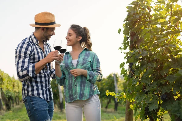 Casal Apaixonado Trabalhando Vinhedo Enólogo Degustação Vinhos — Fotografia de Stock