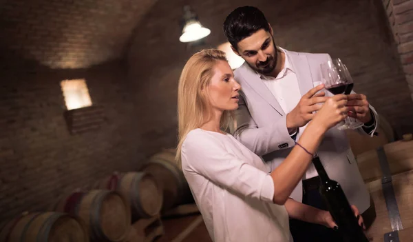 Вино Любляча Пара Дегустаційних Вин Винному Підвалі — стокове фото