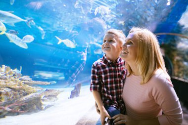 Hayran anne ve oğlu deniz yaşamını oceanarium içinde izlerken