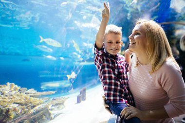 Hayran anne ve oğlu deniz yaşamını oceanarium içinde izlerken