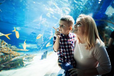 Hayran anne ve oğlu deniz yaşamını oceanarium içinde izlerken
