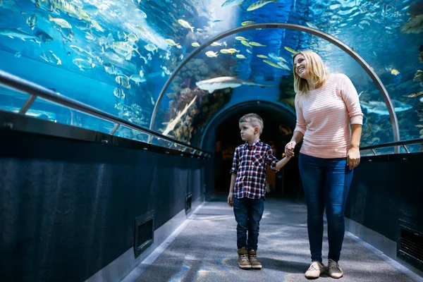 Gefascineerd Moeder Zoon Kijken Zeeleven Het Oceanário Lisboa — Stockfoto