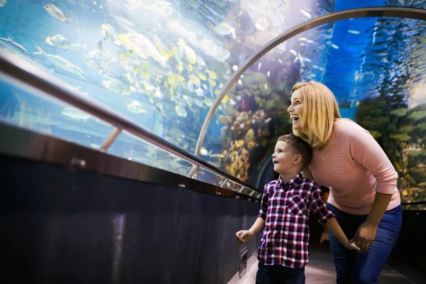 Fascinated mother and son watching sea life in oceanarium