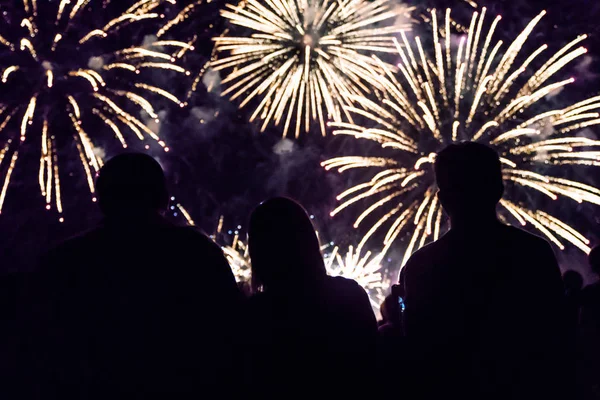 Publiek Kijken Naar Vuurwerk Het Vieren Van Nieuw Jaar — Stockfoto