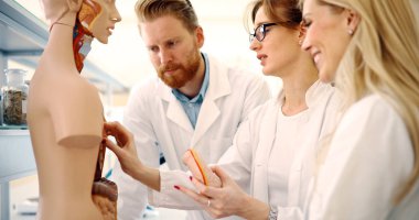 Genç öğrenciler tıp birlikte anatomik sınıf modelinde incelenmesi