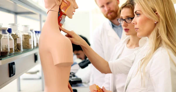 Jovens Estudantes Medicina Examinando Juntos Modelo Anatômico Sala Aula — Fotografia de Stock