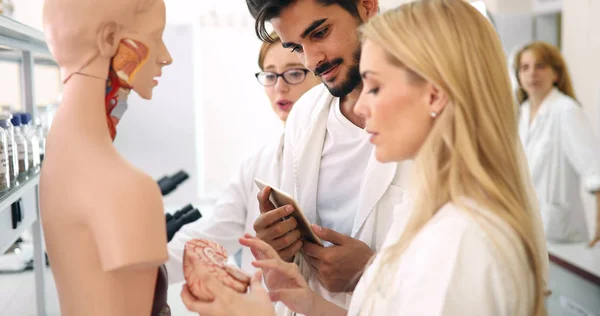 Jóvenes Estudiantes Medicina Examinando Juntos Modelo Anatómico Aula — Foto de Stock