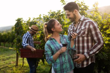 Örnekleme ve şarapları tatma insanlar