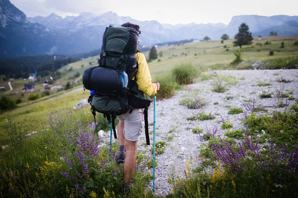 Sports, success and achievement concept. Rear shot of young hiker