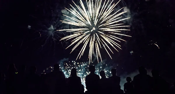 Publiek Kijken Naar Vuurwerk Feesten Nachts — Stockfoto