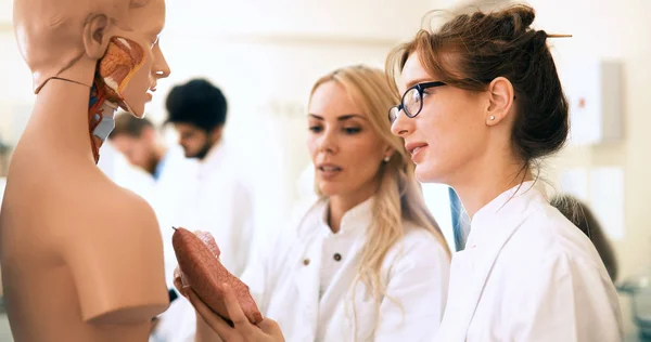 Young students of chemistry working together in laboratory