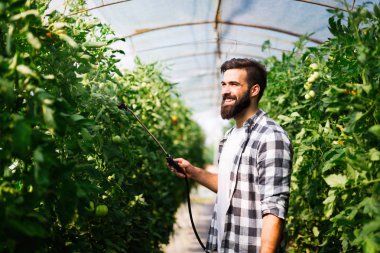 Genç çiftçi bitkilerini koruyor.