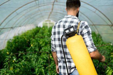 Genç çiftçi onun bitkilerin kimyasal madde ile koruma