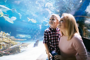 Hayran anne ve oğlu deniz yaşamını oceanarium içinde izlerken