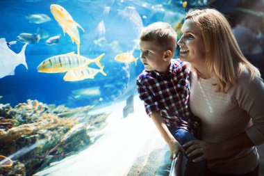 Hayran anne ve oğlu deniz yaşamını oceanarium içinde izlerken
