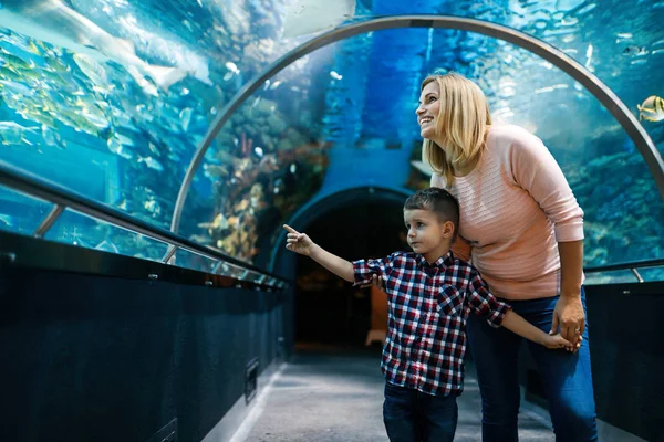 Schattig Gelukkige Familie Vissentank Het Aquarium Kijken — Stockfoto