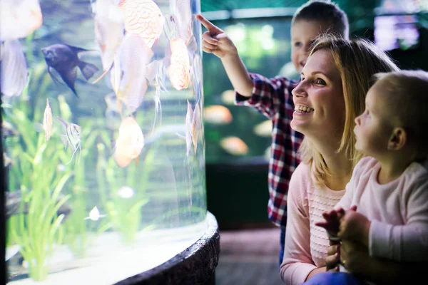 Schattig Gelukkige Familie Vissentank Het Aquarium Kijken — Stockfoto