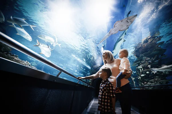 Schattig Gelukkige Familie Vissentank Het Aquarium Kijken — Stockfoto