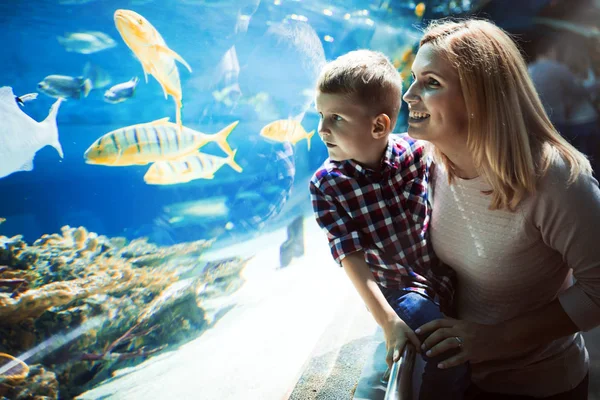 Gefascineerd Moeder Zoon Kijken Zeeleven Het Oceanário Lisboa — Stockfoto