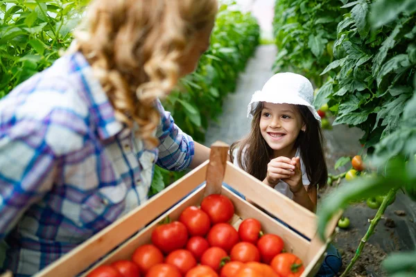 Keluarga Petani Menanam Sayur Dengan Anak Anak Dan Keluarga Kebun — Stok Foto