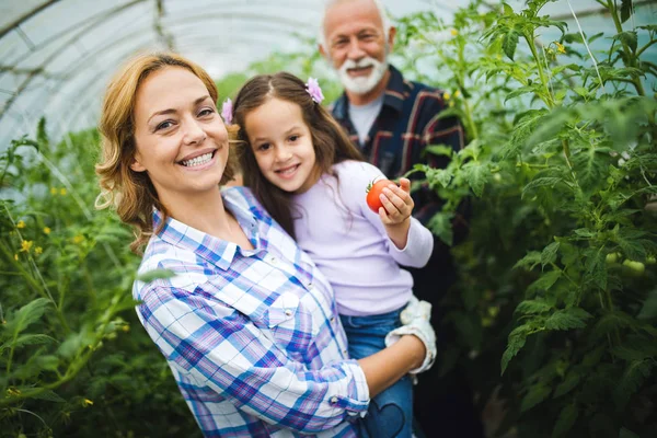 Avô Cultivando Legumes Com Netos Família Fazenda — Fotografia de Stock