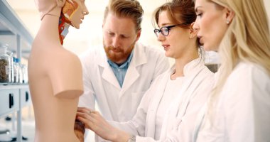 Sınıfta anatomik modeli inceleyen tıp öğrencileri. Eğitim kavramı