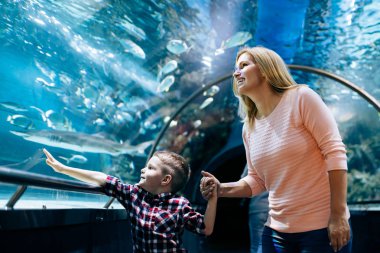 Hayran anne ve oğlu deniz yaşamını oceanarium içinde izlerken