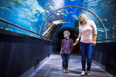 Hayran anne ve oğlu deniz yaşamını oceanarium içinde izlerken