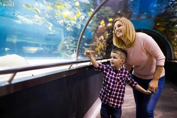 Μητέρα Και Παιδί Βλέποντας Sea Life Στο Oceanarium — Φωτογραφία Αρχείου