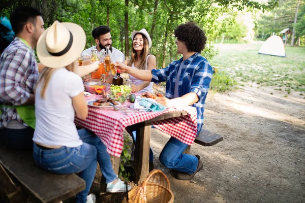 Kamp Doğada Bir Barbekü Partisi Arkadaş Grubu — Stok fotoğraf