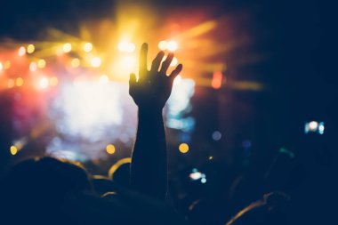 Konserde müzik performans zevk mutlu kalabalık tezahürat