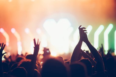 Kalabalığı eğlendirmekten elleri havada Müzik Festivali'nde zevk