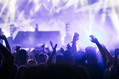 Kalabalığı eğlendirmekten elleri havada Müzik Festivali'nde zevk