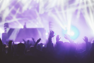 Kalabalığı eğlendirmekten elleri havada Müzik Festivali'nde zevk