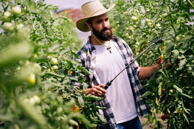 Genç çiftçi bitkilerini koruyor.