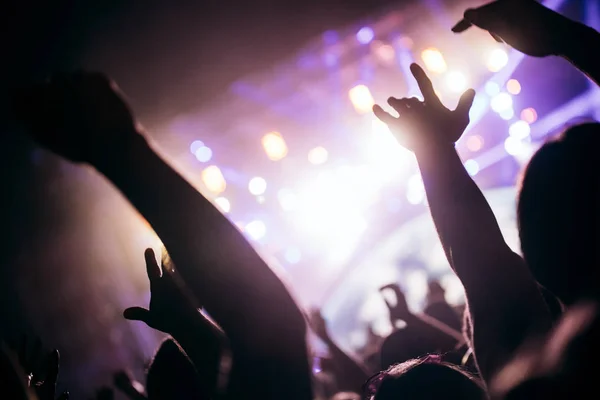 Doping Szczęśliwy Tłum Koncert Korzystających Muzyki — Zdjęcie stockowe