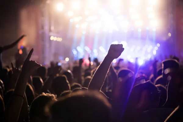 音楽祭を楽しんでいる空気中の手で歓声を上げる群衆 — ストック写真