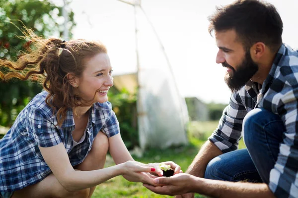 若いカップルの近代的な温室農業野菜 — ストック写真