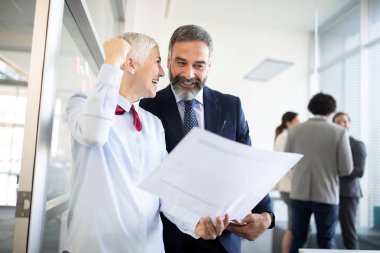 Modern ofiste mutlu olgun işadamı ve işkadını planlama
